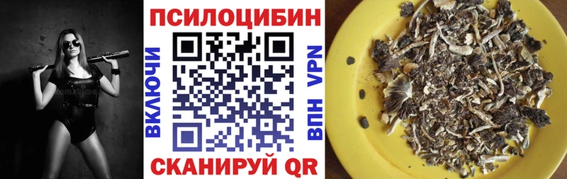 Галлюциногенные грибы GOLDEN TEACHER  Вологда 